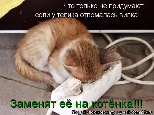 Что только не придумают, если у телика отломалась вилка!!! Заменят её на котёнка!!!... Котоматрица: Что только не придумают, если у телика отломалась вилка!!! Заменят её на котёнка!!!