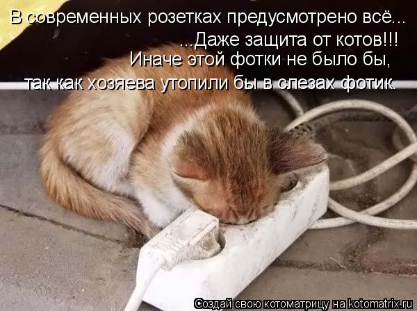 В современных розетках предусмотрено всё... ...Даже защита от котов!!! так как хозяева утопили бы в с... Котоматрица: В современных розетках предусмотрено всё... ...Даже защита от котов!!! так как хозяева утопили бы в слезах фотик. Иначе этой фотки не было бы,