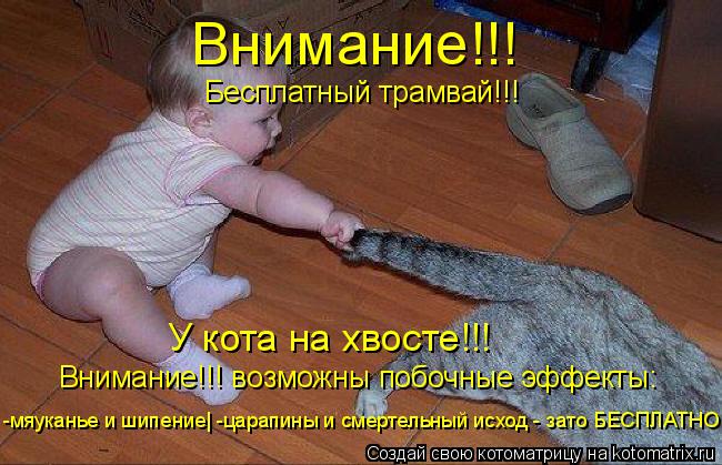 Бесплатный трамвай!!! Внимание!!! У кота на хвосте!!! Внимание!!! возможны побочные эффекты: -мяукан... Котоматрица: Бесплатный трамвай!!! Внимание!!! У кота на хвосте!!! Внимание!!! возможны побочные эффекты: -мяуканье и шипение| -царапины и смертельный исход