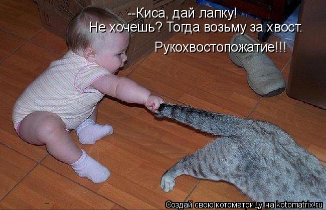 --Киса, дай лапку! Не хочешь? Тогда возьму за хвост. Рукохвостопожатие!!!... Котоматрица: --Киса, дай лапку! Не хочешь? Тогда возьму за хвост. Рукохвостопожатие!!!