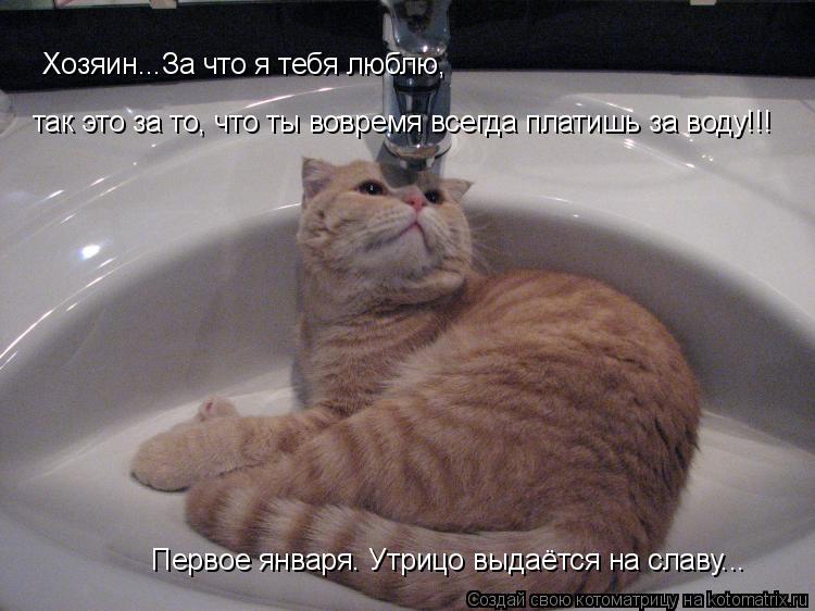Первое января. Утрицо выдаётся на славу... так это за то, что ты вовремя всегда платишь за воду!!! Хо... Котоматрица: Первое января. Утрицо выдаётся на славу... так это за то, что ты вовремя всегда платишь за воду!!! Хозяин...За что я тебя люблю,
