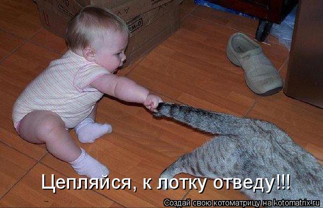 Цепляйся, к лотку отведу!!!... Котоматрица: Цепляйся, к лотку отведу!!!