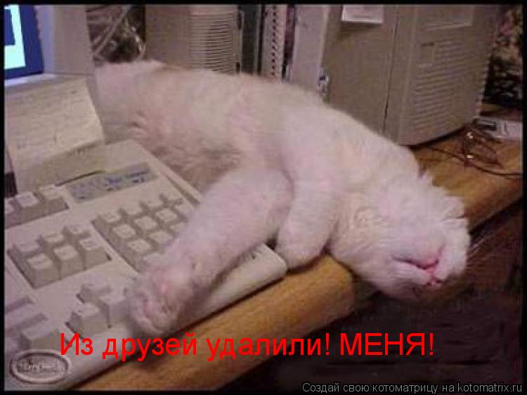 Котоматрица: Из друзей удалили! МЕНЯ!
