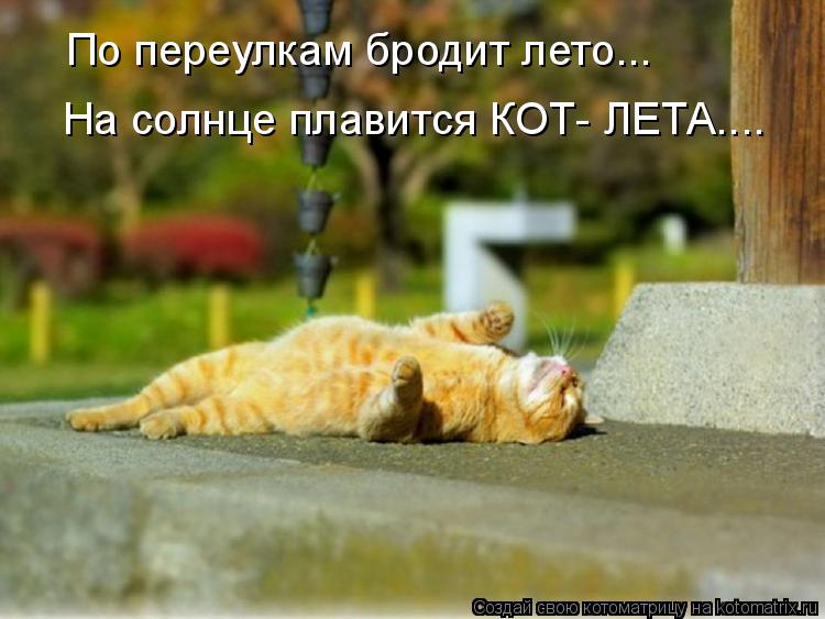 Котоматрица: По переулкам бродит лето... На солнце плавится КОТ- ЛЕТА....
