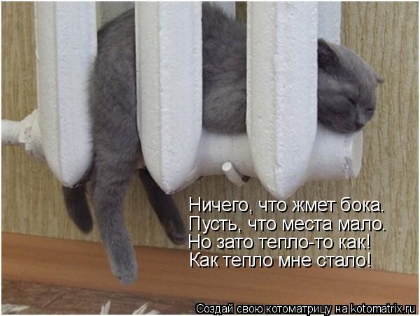 Ничего, что жмет бока. Пусть, что места мало. Но зато тепло-то как! Как тепло мне стало!... Котоматрица: Ничего, что жмет бока. Пусть, что места мало. Но зато тепло-то как! Как тепло мне стало!