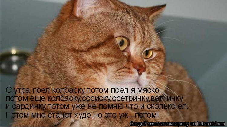 Котоматрица: С утра поел колбаску,потом поел я мяско, потом еще колбаску,сосиску,осетринку,ветчинку и сардинку,потом уже не помню что и сколько ел. Потом 