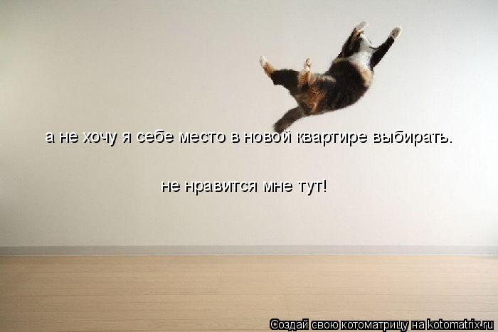 Котоматрица: а не хочу я себе место в новой квартире выбирать. не нравится мне тут!
