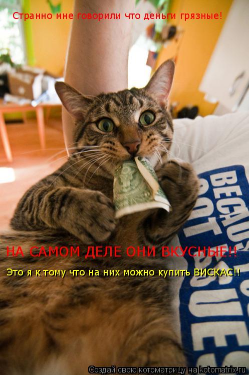 Котоматрица: Странно мне говорили что деньги грязные! НА САМОМ ДЕЛЕ ОНИ ВКУСНЫЕ!! Это я к тому что на них можно купить ВИСКАС!!