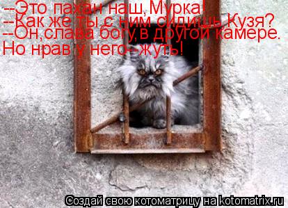 Котоматрица: --Это пахан наш,Мурка! --Как же ты с ним сидишь,Кузя? --Он,слава богу,в другой камере. Но нрав у него--жуть!