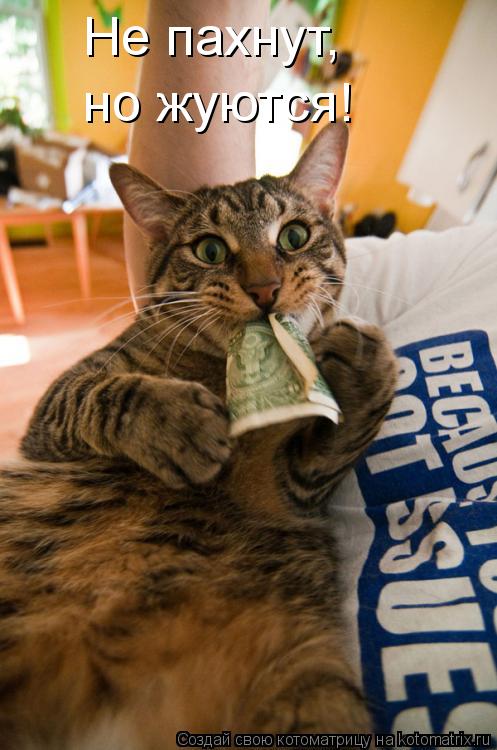 Котоматрица: Не пахнут,  но жуются!