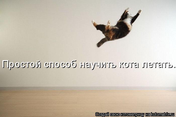 Котоматрица: Простой способ научить кота летать.