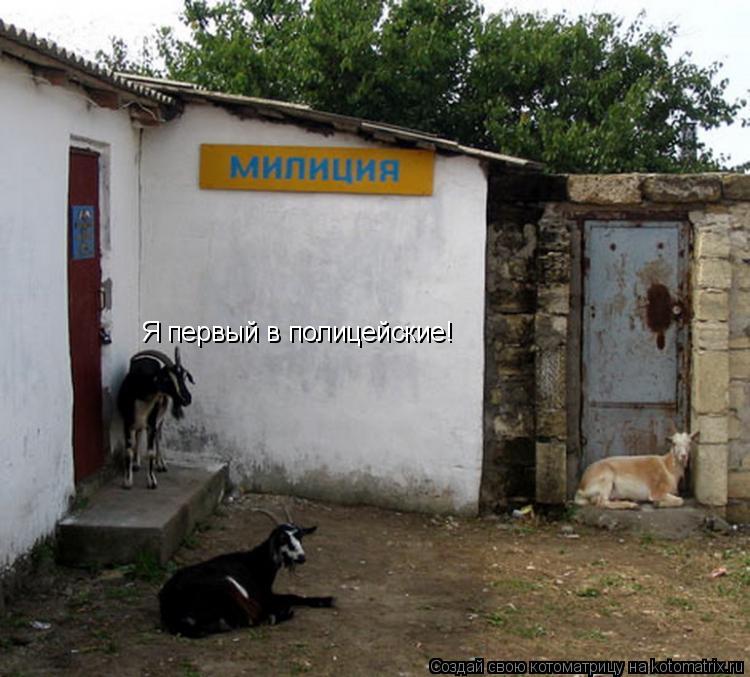 Котоматрица: Я первый в полицейские!
