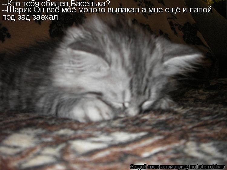 Котоматрица: --Кто тебя обидел,Васенька? --Шарик.Он всё моё молоко вылакал,а мне ещё и лапой под зад заехал!