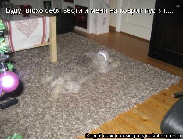 Котоматрица: Буду плохо себя вести и меня на коврик пустят....
