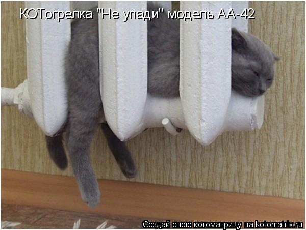 Котоматрица: КОТогрелка "Не упади" модель АА-42