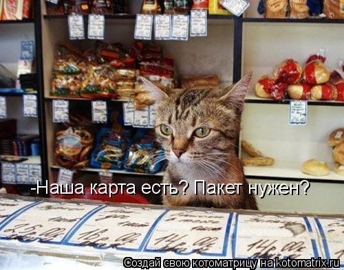 -Наша карта есть? Пакет нужен?... Котоматрица: -Наша карта есть? Пакет нужен?
