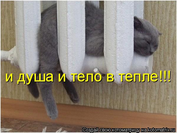 Котоматрица: и душа и тело в тепле!!!