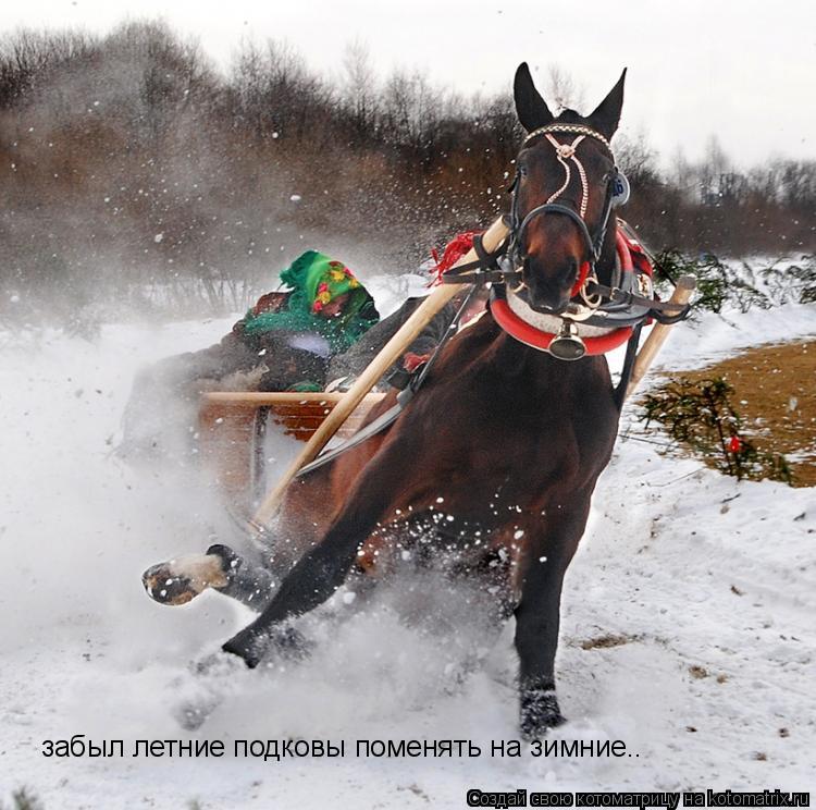 забыл летние подковы поменять на зимние..... Котоматрица: забыл летние подковы поменять на зимние..
