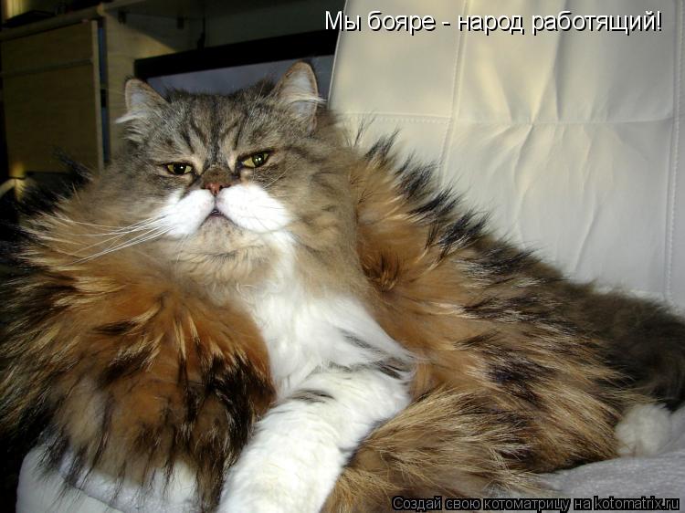 Мы бояре - народ работящий!... Котоматрица: Мы бояре - народ работящий!