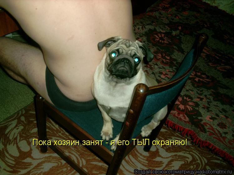 Пока хозяин занят - я его ТЫЛ охраняю!... Котоматрица: Пока хозяин занят - я его ТЫЛ охраняю!
