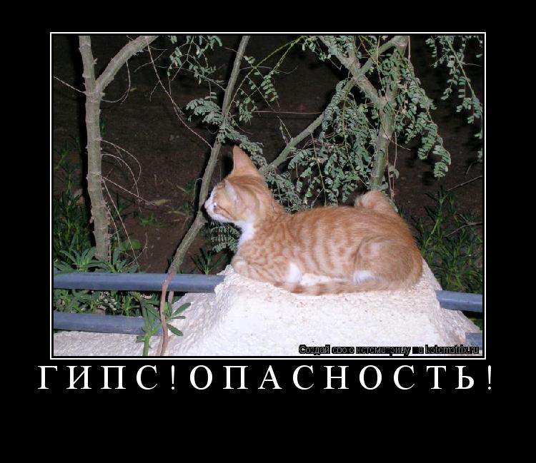 гипс!опасность! ... Котоматрица: гипс!опасность!