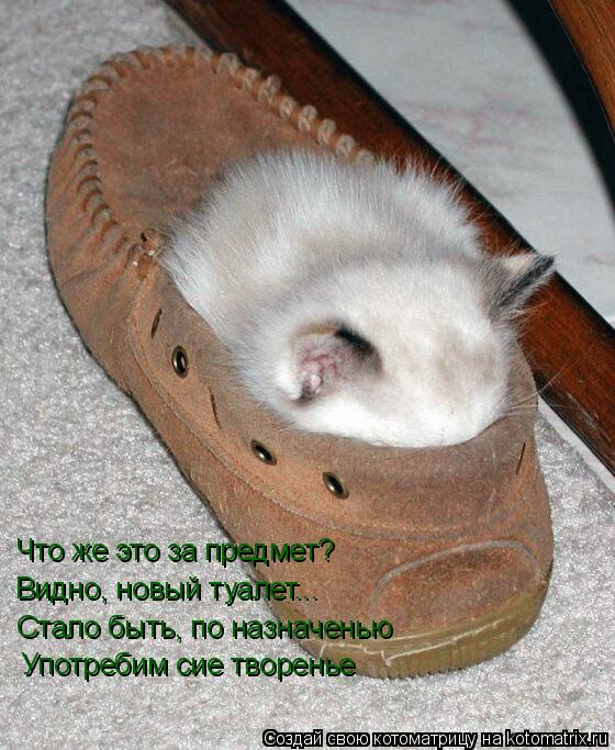 Что же это за предмет? Видно, новый туалет... Стало быть, по назначенью Употребим сие творенье... Котоматрица: Что же это за предмет? Видно, новый туалет... Стало быть, по назначенью Употребим сие творенье