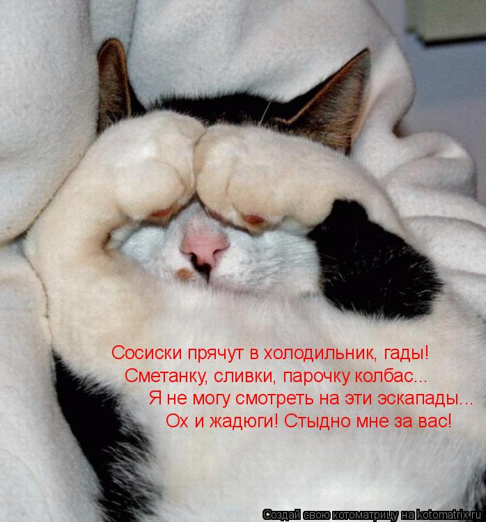 Сосиски прячут в холодильник, гады! Сметанку, сливки, парочку колбас... Я не могу смотреть на эти эск... Котоматрица: Сосиски прячут в холодильник, гады! Сметанку, сливки, парочку колбас... Я не могу смотреть на эти эскапады... Ох и жадюги! Стыдно мне за вас!