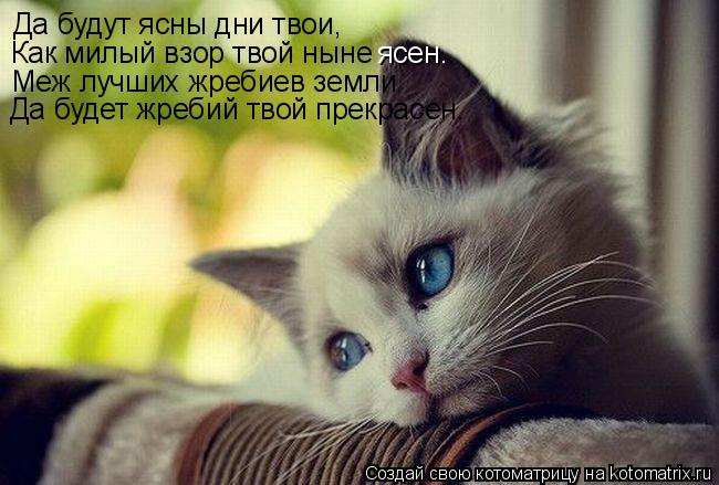 Да будут ясны дни твои, Как милый взор твой ныне ясен. Меж лучших жребиев земли Да будет жребий твой... Котоматрица: Да будут ясны дни твои, Как милый взор твой ныне ясен. Меж лучших жребиев земли Да будет жребий твой прекрасен.
