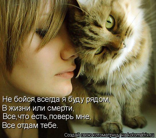 Котоматрица: Не бойся,всегда я буду рядом, В жизни или смерти, Все,что есть,поверь мне, Все отдам тебе.