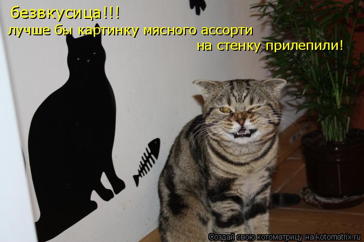 Котоматрица: безвкусица!!! лучше бы картинку мясного ассорти  на стенку прилепили!