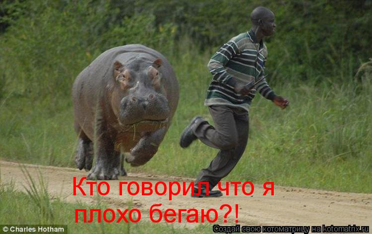 Котоматрица: Кто говорил что я плохо бегаю?!