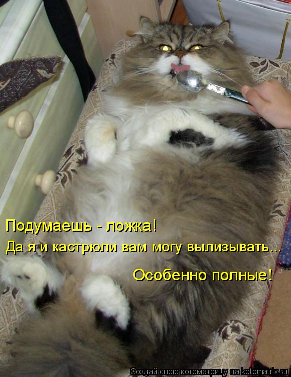 Котоматрица: Подумаешь - ложка!  Да я и кастрюли вам могу вылизывать...  Особенно полные!