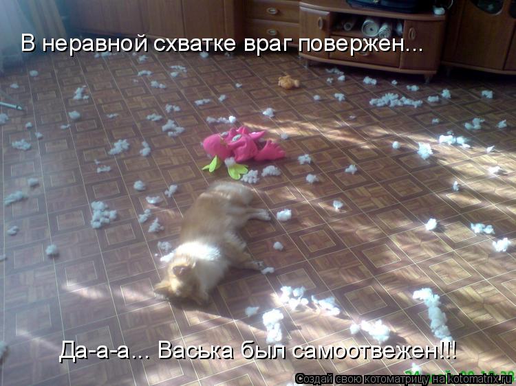 Котоматрица: В неравной схватке враг повержен... Да-а-а... Васька был самоотвежен!!!