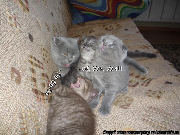 - ой, Ухи, Ухи!!! - бе-бе-бе... Котоматрица: - ой, Ухи, Ухи!!! - бе-бе-бе