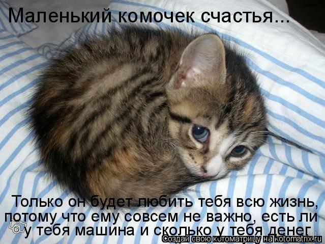Только он будет любить тебя всю жизнь, потому что ему совсем не важно, есть ли у тебя машина и скольк... Котоматрица: Только он будет любить тебя всю жизнь, потому что ему совсем не важно, есть ли у тебя машина и сколько у тебя денег Маленький комочек счастья