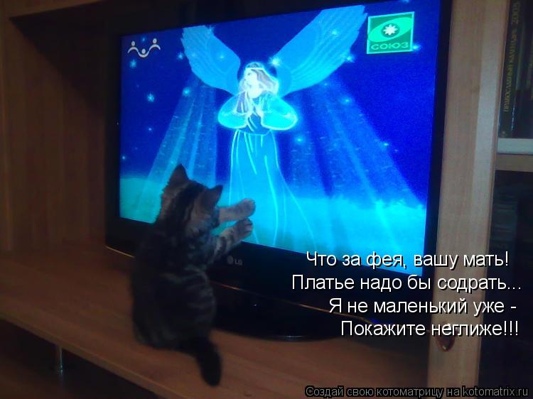 Что за фея, вашу мать! Платье надо бы содрать... Я не маленький уже - Покажите неглиже!!!... Котоматрица: Что за фея, вашу мать! Платье надо бы содрать... Я не маленький уже - Покажите неглиже!!!