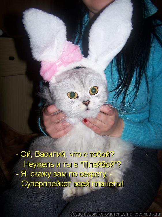 - Ой, Василий, что с тобой? Неужель и ты в "Плейбой"? - Я, скажу вам по секрету, - Суперплейкот всей... Котоматрица: - Ой, Василий, что с тобой? Неужель и ты в "Плейбой"? - Я, скажу вам по секрету, - Суперплейкот всей планеты!