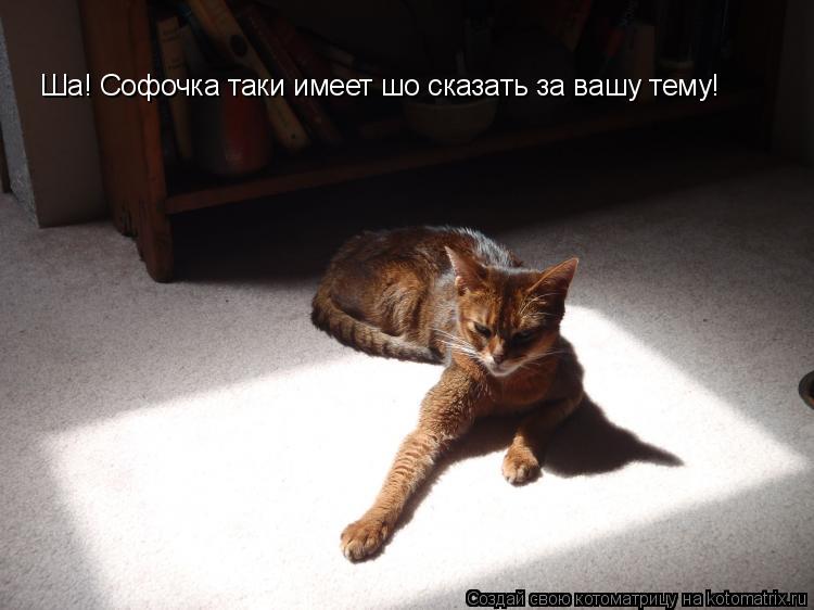 Ша! Софочка таки имеет шо сказать за вашу тему!... Котоматрица: Ша! Софочка таки имеет шо сказать за вашу тему!