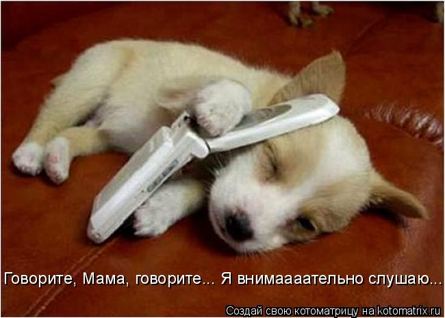 Говорите, Мама, говорите... Я внимаааательно слушаю...... Котоматрица: Говорите, Мама, говорите... Я внимаааательно слушаю...