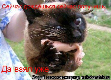 Сейчас дождёшься,сейчас получишь... Да взял уже... Котоматрица: Сейчас дождёшься,сейчас получишь... Да взял уже