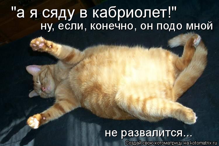 Котоматрица: "а я сяду в кабриолет!" ну, если, конечно, он подо мной  не развалится...