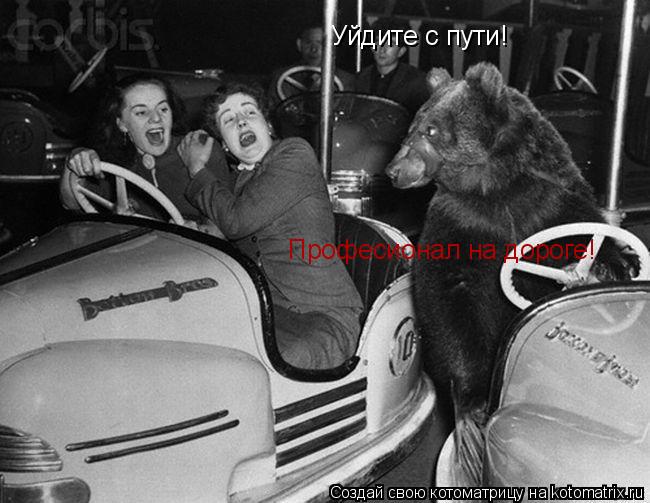 Котоматрица: Уйдите с пути! Професионал на дороге!