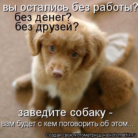Котоматрица: вы остались без работы? без денег? без друзей? заведите собаку -  вам будет с кем поговорить об этом...
