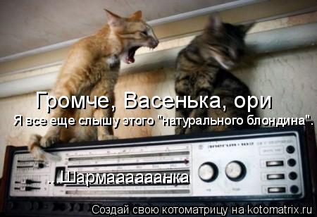 Котоматрица: Громче, Васенька, ори Я все еще слышу этого "натурального блондина". ...Шармаааааанка