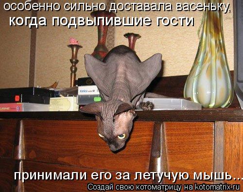 Котоматрица: особенно сильно доставала васеньку,  когда подвыпившие гости  принимали его за летучую мышь...
