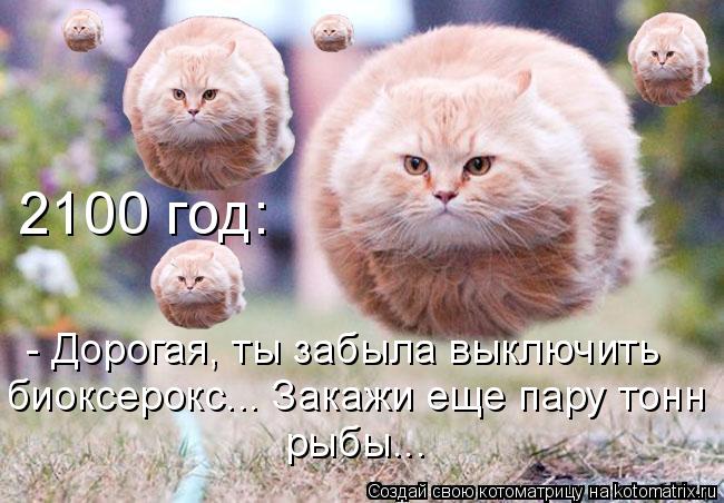 2100 год: - Дорогая, ты забыла выключить биоксерокс... Закажи еще пару тонн рыбы...... Котоматрица: 2100 год: - Дорогая, ты забыла выключить биоксерокс... Закажи еще пару тонн рыбы...