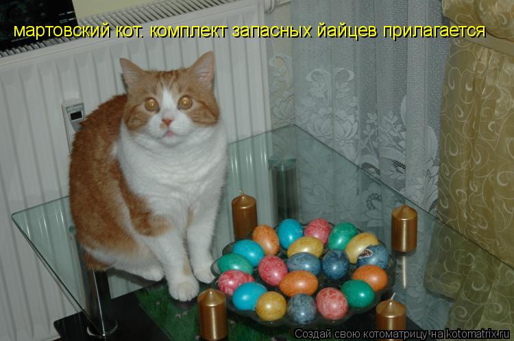 мартовский кот. комплект запасных йайцев прилагается... Котоматрица: мартовский кот. комплект запасных йайцев прилагается