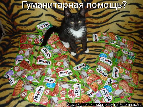 Гуманитарная помощь?... Котоматрица: Гуманитарная помощь?