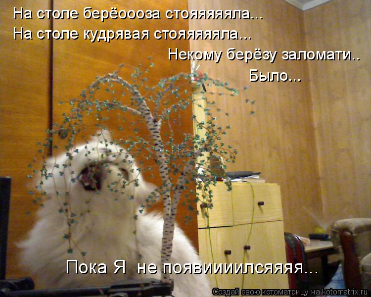 На столе берёоооза стояяяяяла... На столе кудрявая стояяяяяла... Некому берёзу заломати.. Было... Пок... Котоматрица: На столе берёоооза стояяяяяла... На столе кудрявая стояяяяяла... Некому берёзу заломати.. Было... Пока Я не появиииилсяяяя...