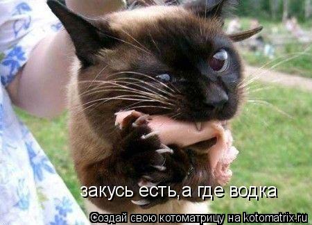закусь есть,а где водка... Котоматрица: закусь есть,а где водка